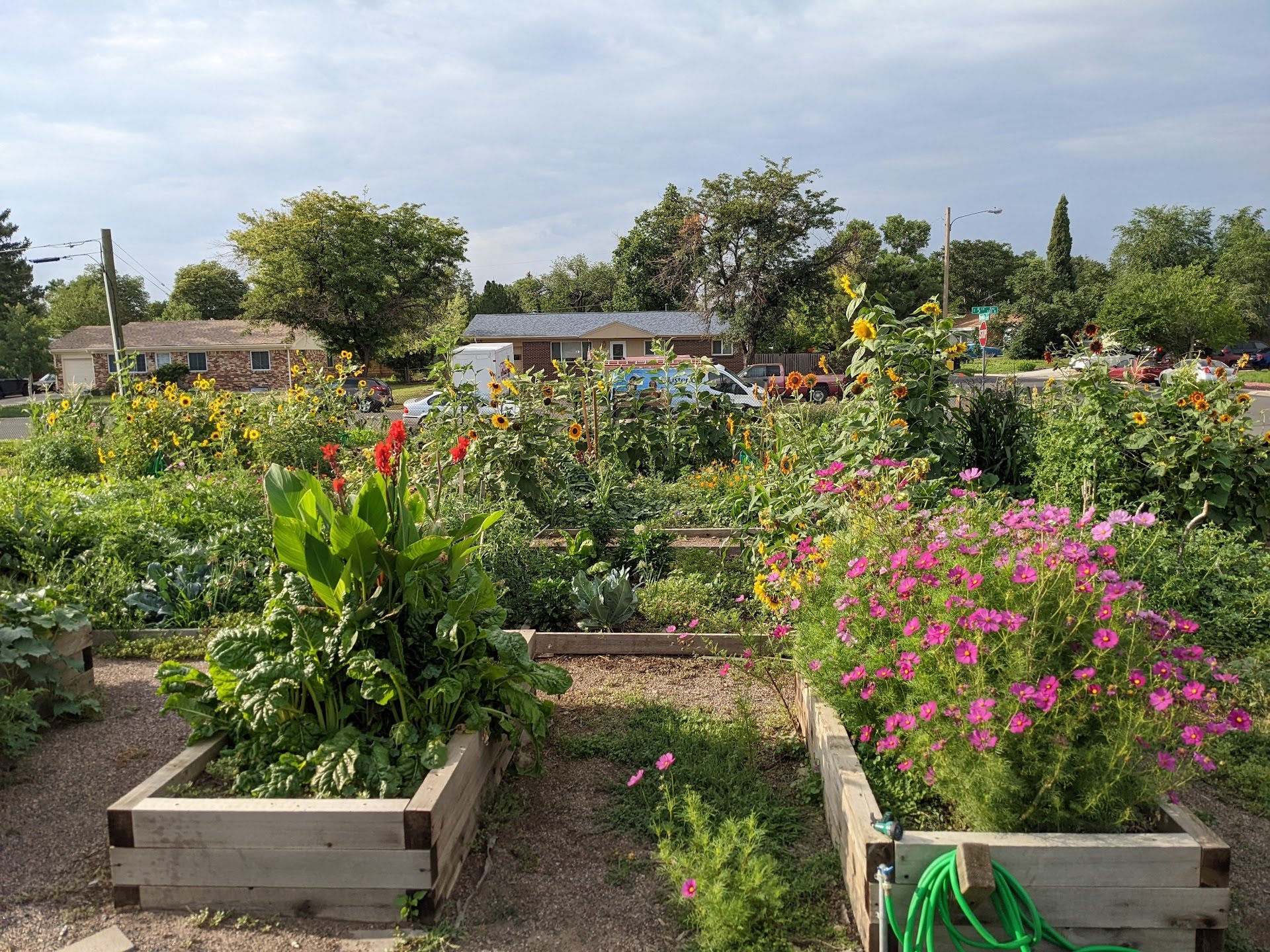 garden2.jpeg