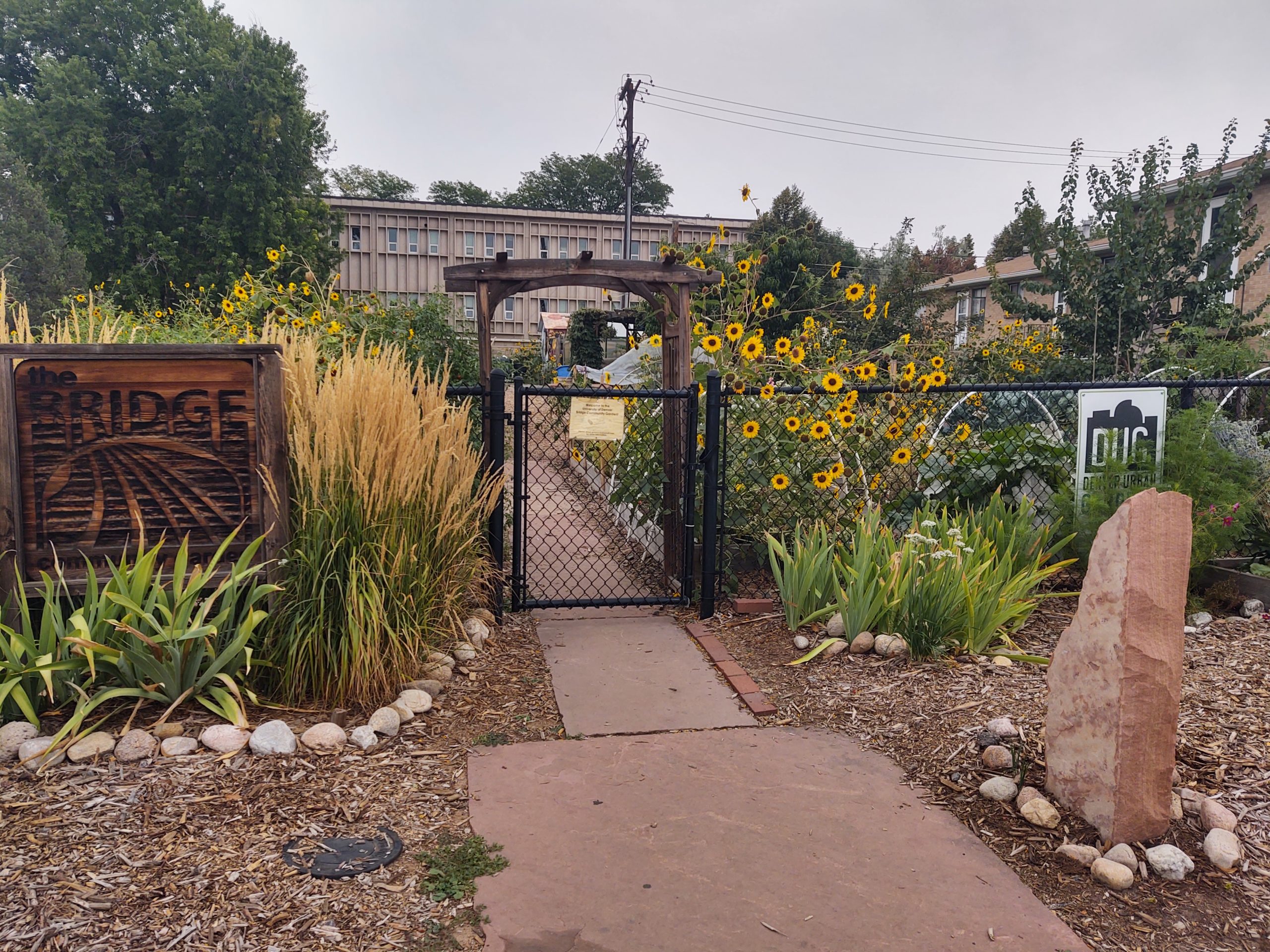 garden3.jpeg